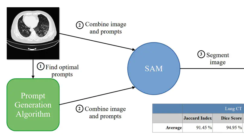 Segmentación de imagen médica con SAM