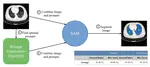 No More Training: SAM's Zero-Shot Transfer Capabilities for Cost-Efficient Medical Image Segmentation