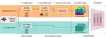 Beyond Spectrograms: Rethinking Audio Classification from EnCodec's Latent Space