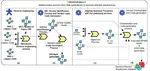 Business Process Execution From the Alignment Between Business Processes and Web Services: A Semantic and Model-Driven Modernization Process